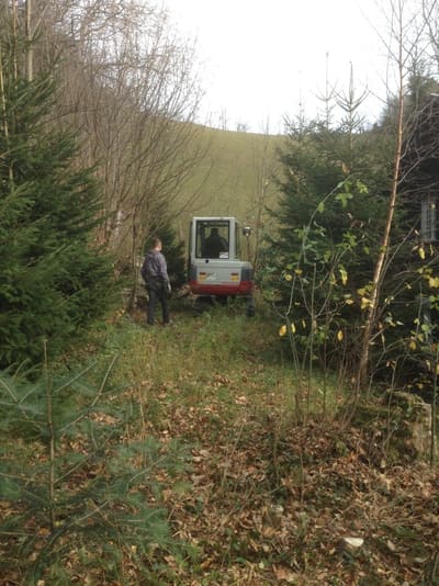 Quellfassung, Foto 2 von 4 (öffnet in neuem Tab)